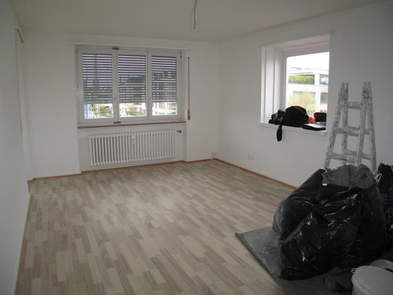 Charmante 4-Zimmer-Wohnung mit Balkon in Allschwil frisch renoviert (7)