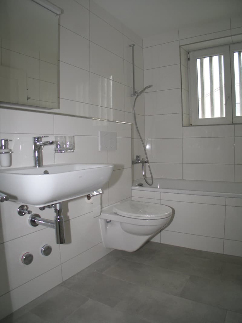 Charmante 4-Zimmer-Wohnung mit Balkon in Allschwil frisch renoviert (5)