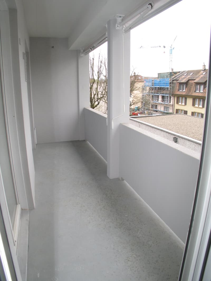 Charmante 4-Zimmer-Wohnung mit Balkon in Allschwil frisch renoviert (10)