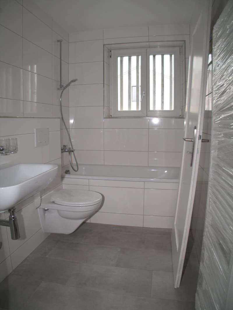 Charmante 4-Zimmer-Wohnung mit Balkon in Allschwil frisch renoviert (4)