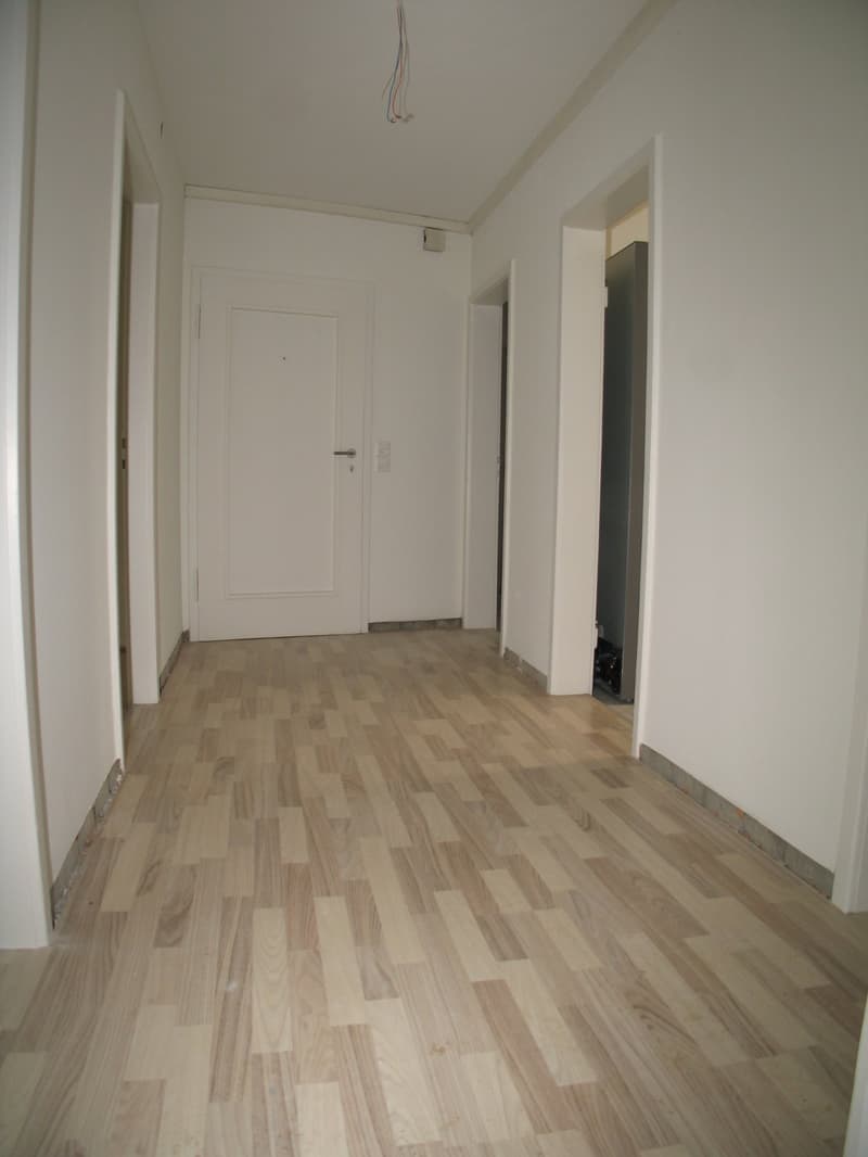Charmante 4-Zimmer-Wohnung mit Balkon in Allschwil frisch renoviert (9)