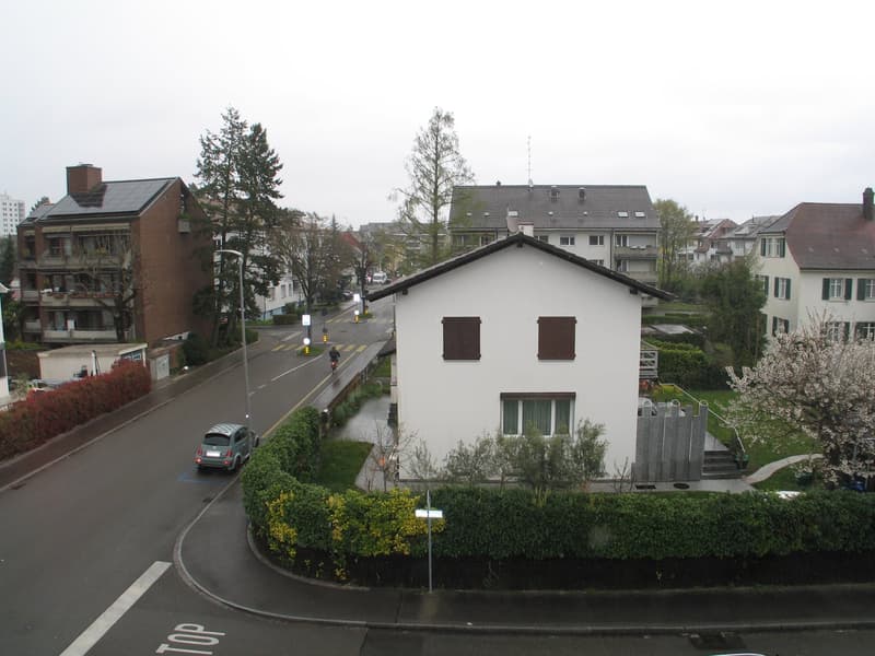 Charmante 4-Zimmer-Wohnung mit Balkon in Allschwil frisch renoviert (13)