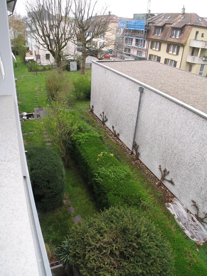 Charmante 4-Zimmer-Wohnung mit Balkon in Allschwil frisch renoviert (11)