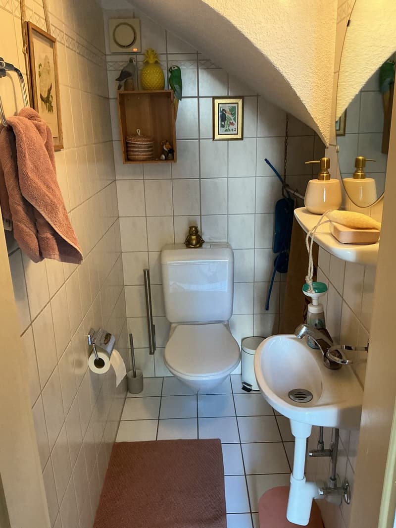 Charmantes "Stöckli/Riegel-Einfamilienhaus" in Allschwil (6)