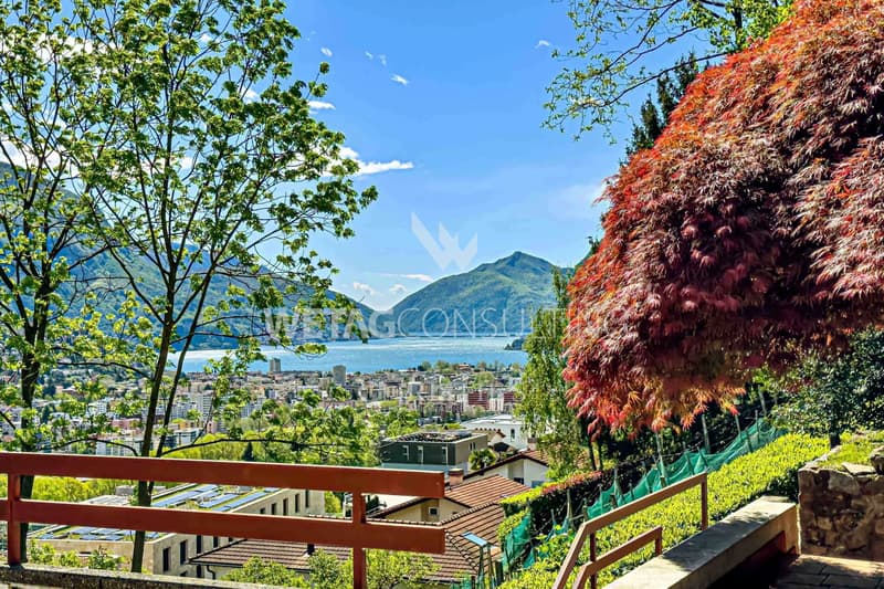 Lugano-Canobbio: zu verkaufen Villa mit Pool & Blick auf den Luganersee, komplett zu renovieren, aber mit grossem Potential (2)