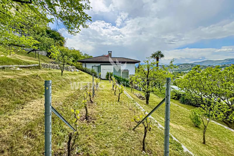 Lugano-Cadro: schöne Villa mit Pool & separater 2-Zimmer-Wohnung zu verkaufen (13)