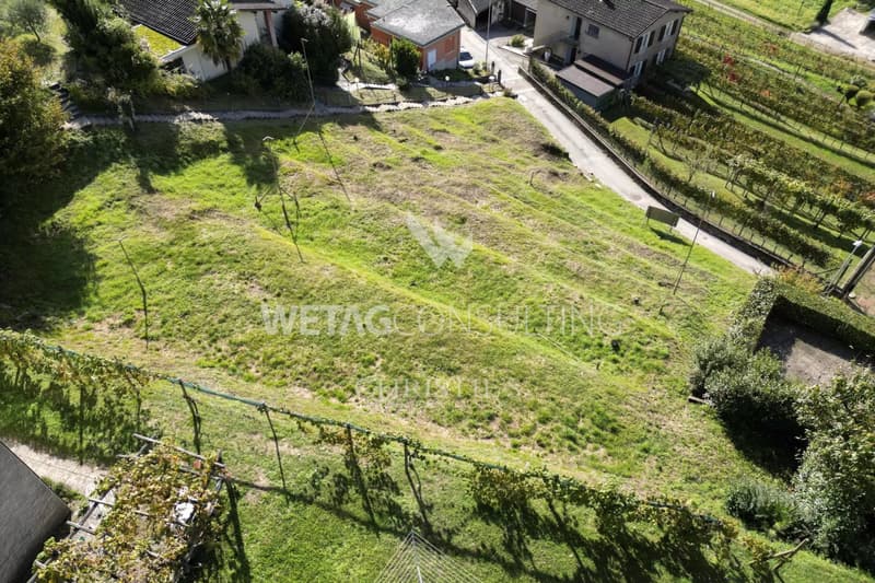 Lugano-Neggio: Baugrundstück von 1'137 m² mit Blick auf den Luganersee zu verkaufen (6)