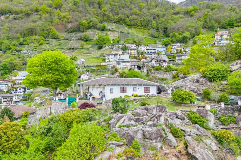 Riazzino?Lavertezzo: Mediterranean Villa with large garden & outdoor pool for sale (9)