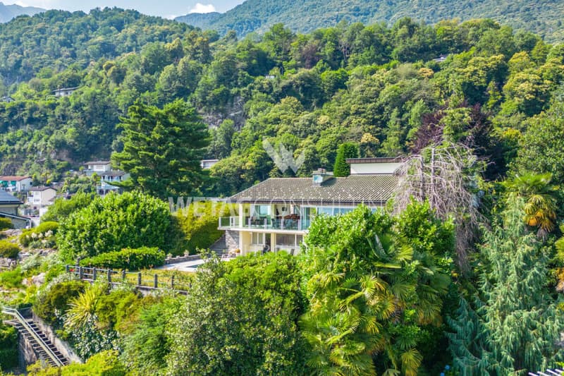 Minusio: Elegant Villa with Panoramic Lake View, Outdoor Pool & Surrounded by Greenery for Sale (13)