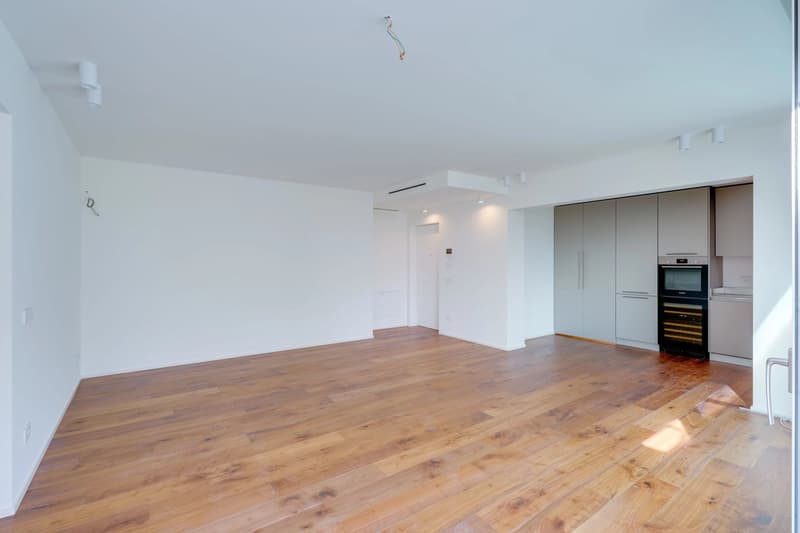 Moderne Wohnung in Comano zu verkaufen, kürzlich renoviert ? auch ideal als Zweitwohnsitz geeignet (6)