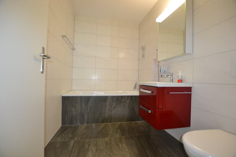 Moderne 3½-Zimmer-Gartenwohnung (6)
