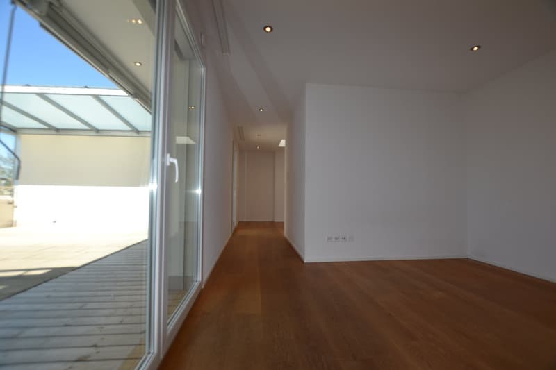 Empty room, wooden floor, white walls, glass doors, balcony, ceiling lights