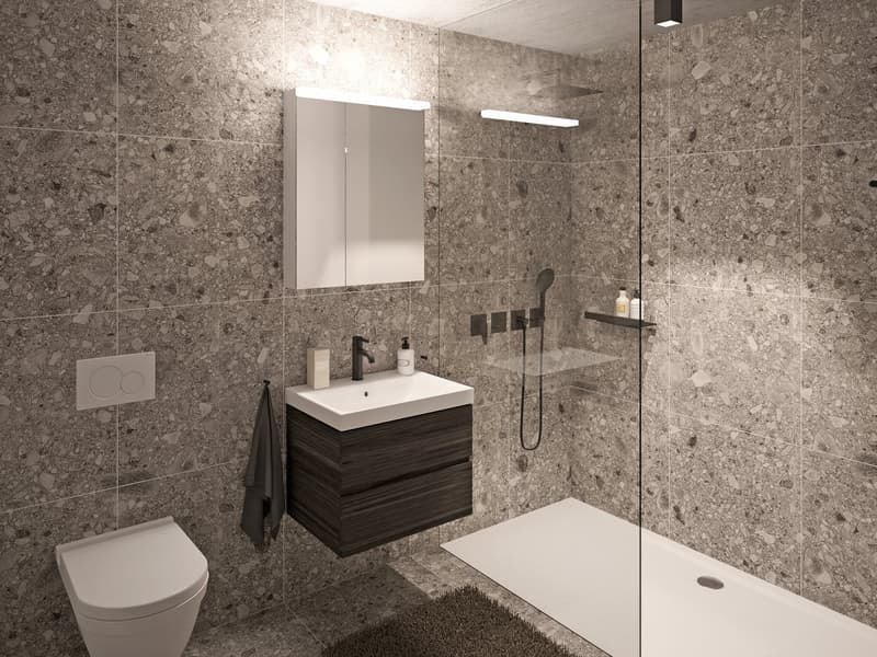 Diverse Neubau 3½-Zimmer-Dachwohnungen in Stüsslingen (2)