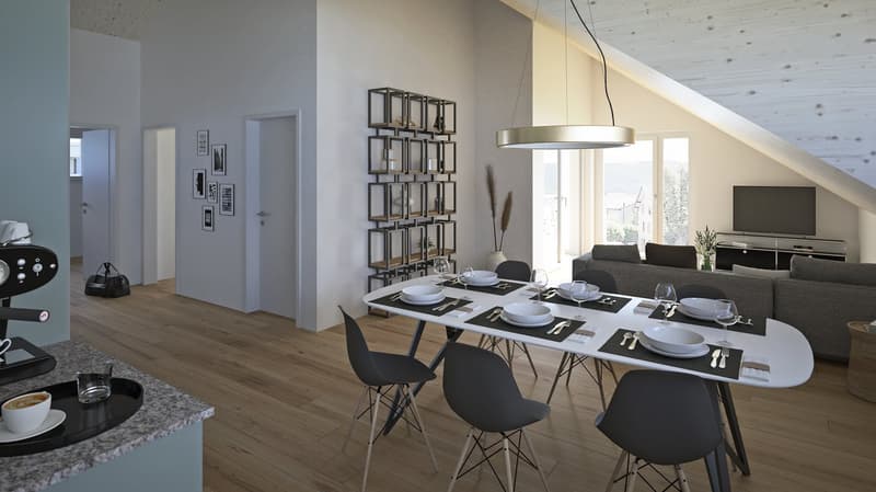 Diverse Neubau 3½-Zimmer-Dachwohnungen in Stüsslingen (1)