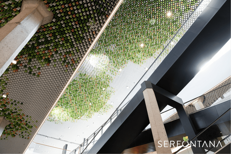 modern building, green and white ceiling, black railings, glass floor