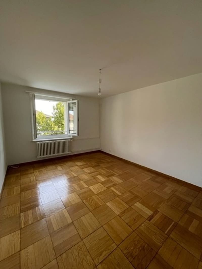 Zimmer