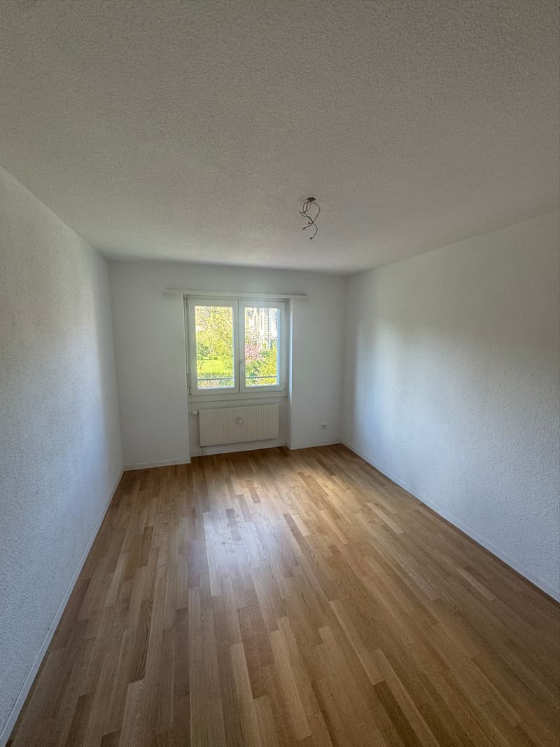 Zimmer