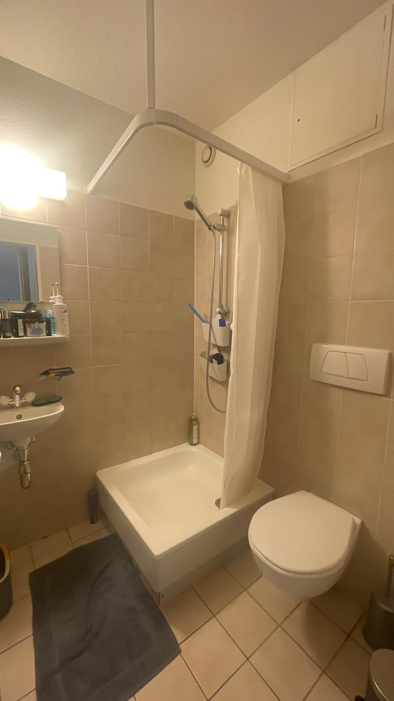 Salle de douche avec wc