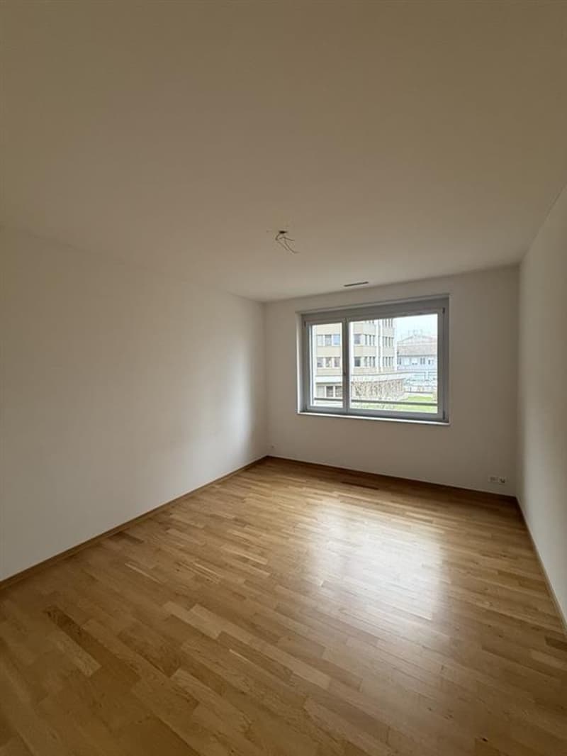Zimmer