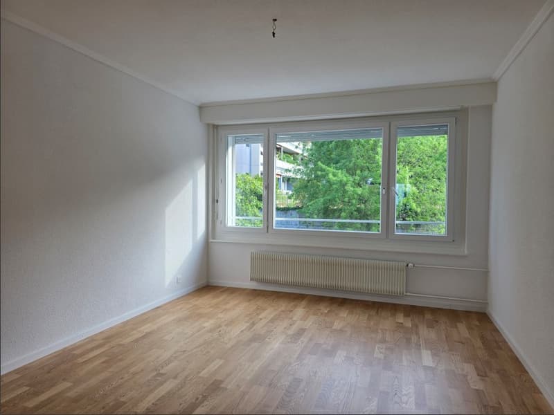 Zimmer