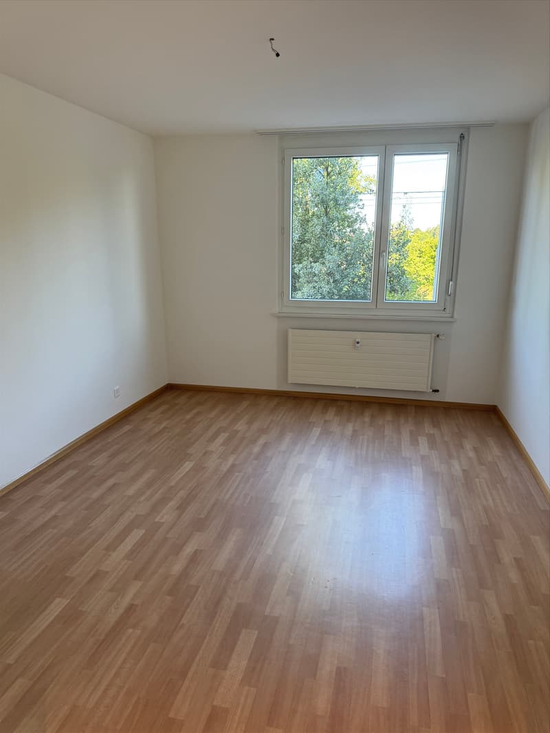 Zimmer