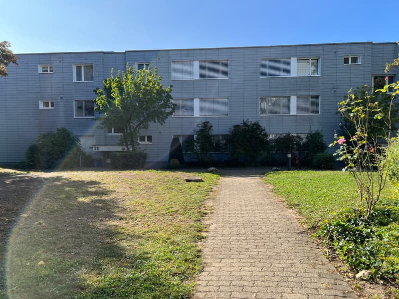 IMG_.jpg