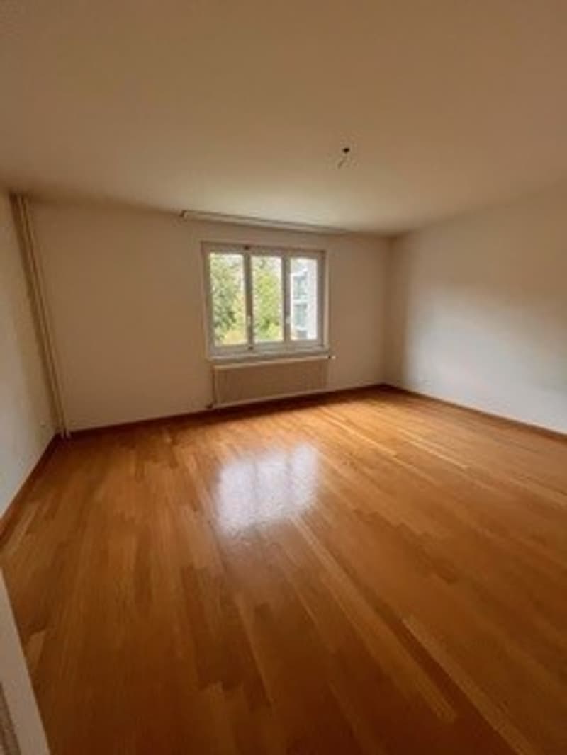 Zimmer