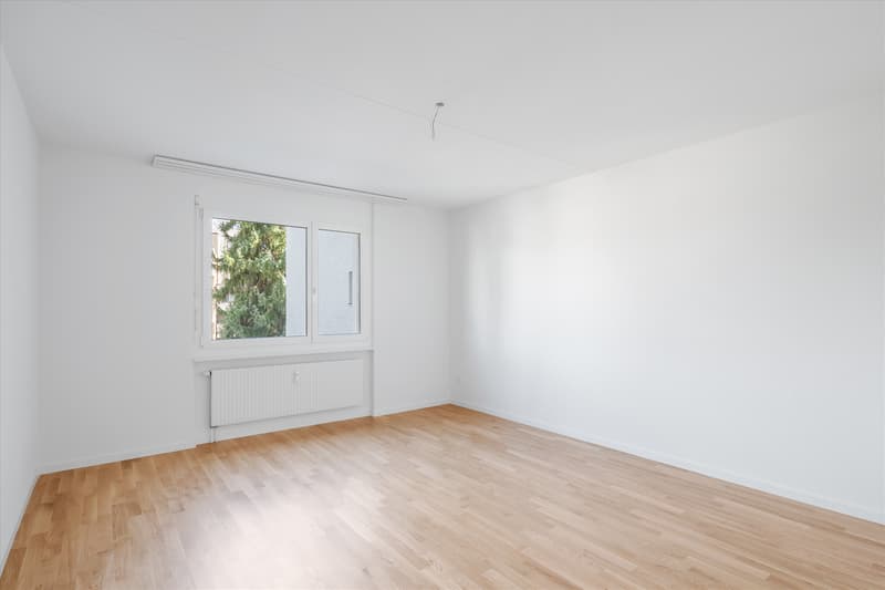 Zimmer