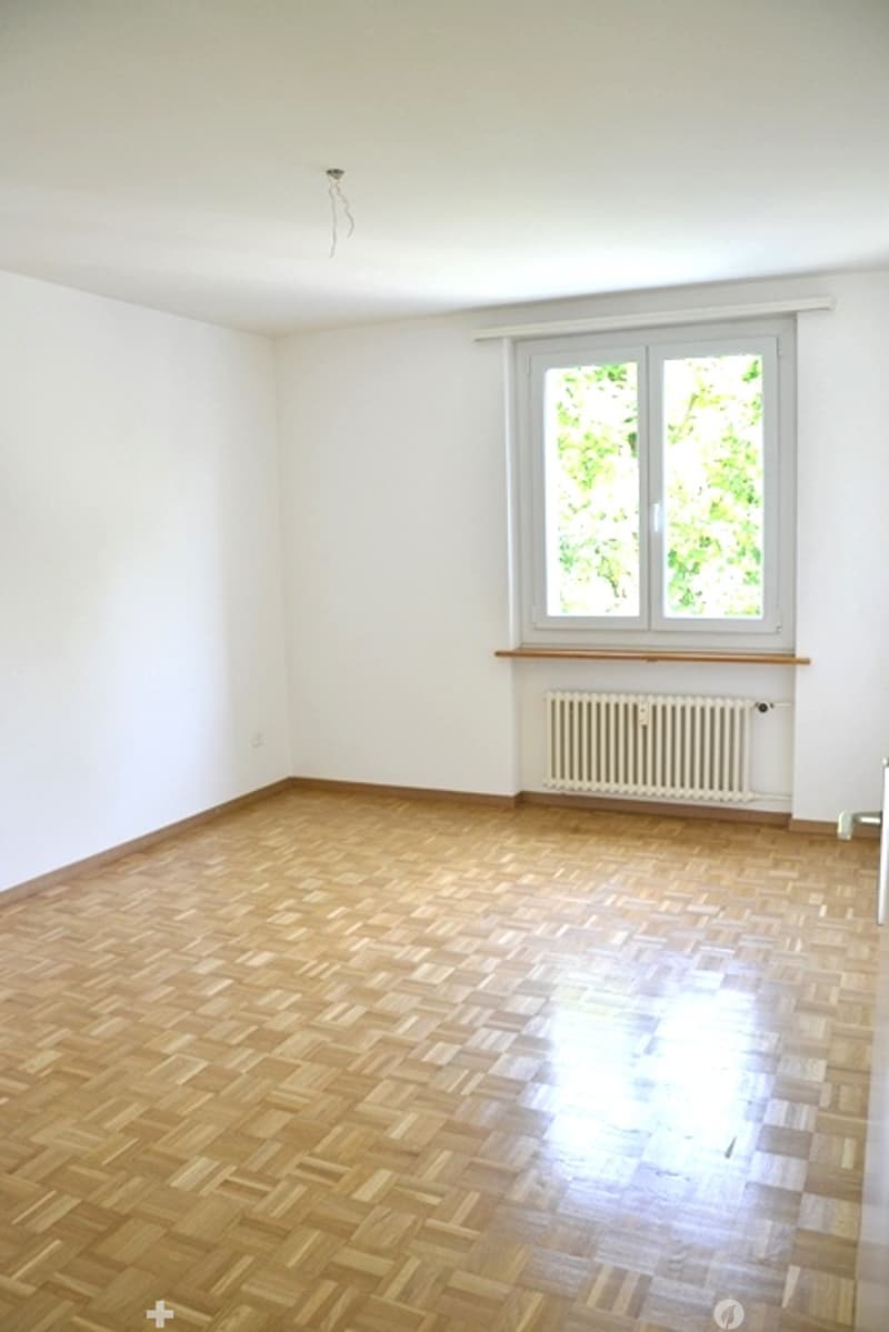 Zimmer