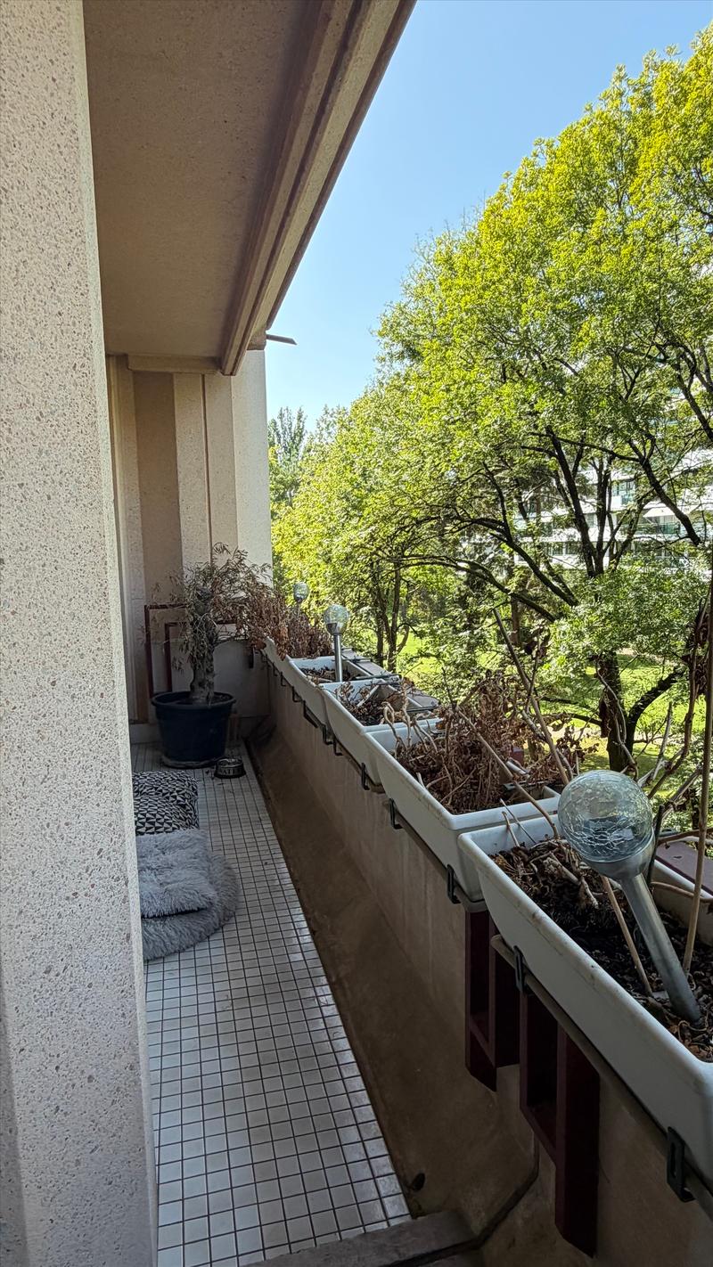 Balkon/Terrasse/Sitzplatz