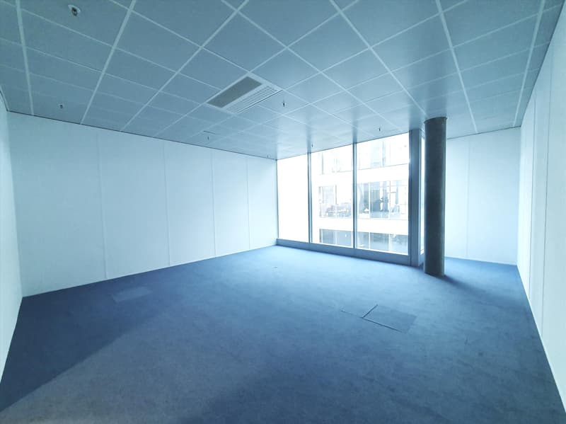 Zimmer