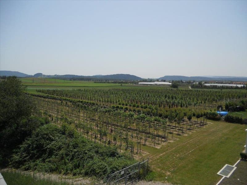 Aussicht