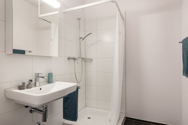 Helle 3.5-Zimmer-Wohnung in ruhiger Lage (5)