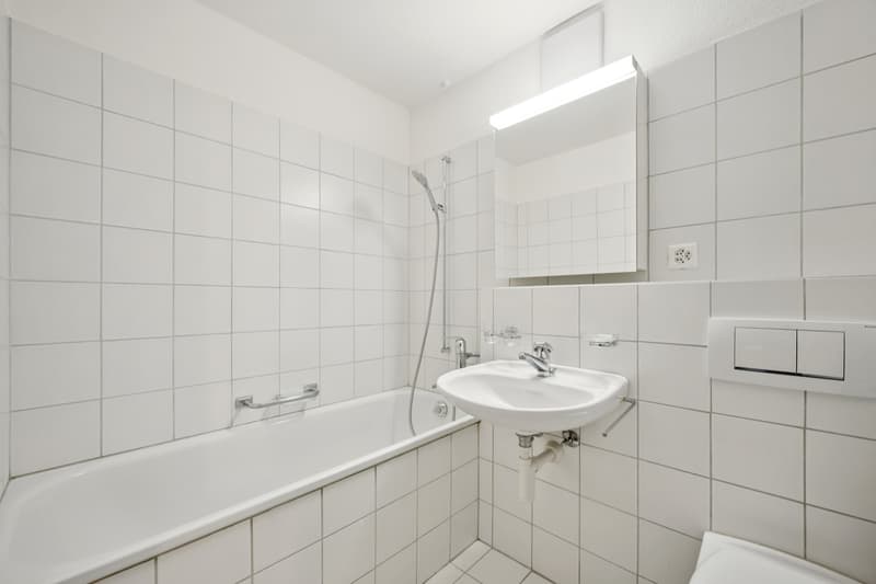 Appartement parfait pour les célibataires et les étudiants (4)