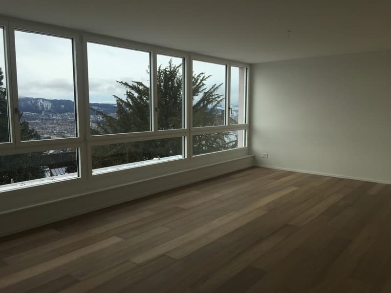 Traumwohnung mit Seesicht in Zürich (6)