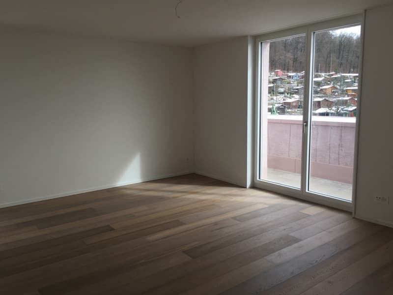 Traumwohnung mit Seesicht in Zürich (8)