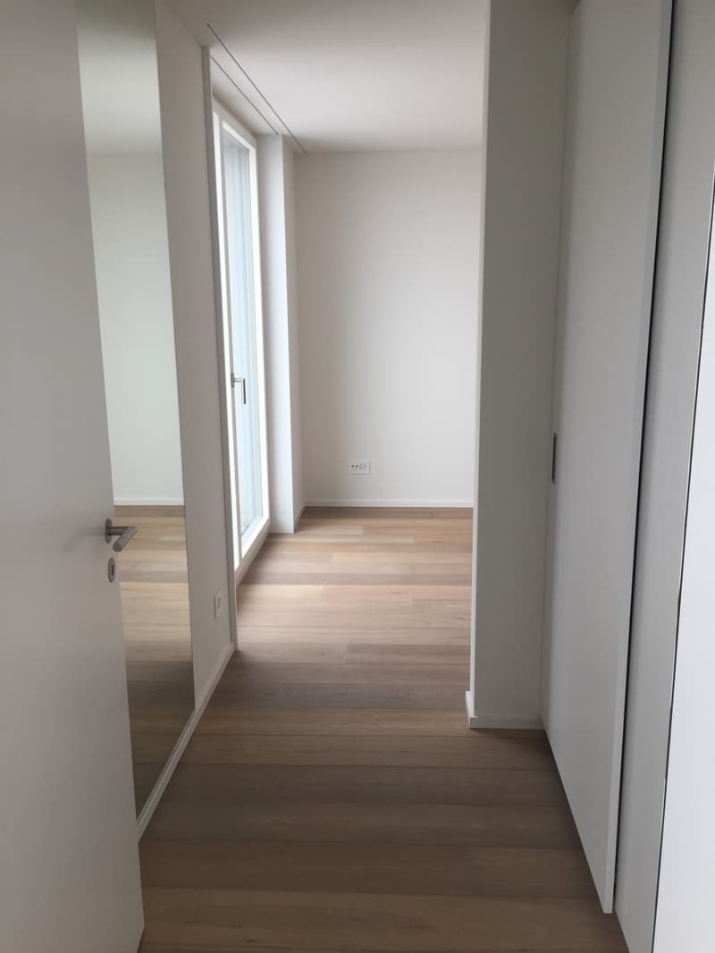 Traumwohnung mit Seesicht in Zürich (4)