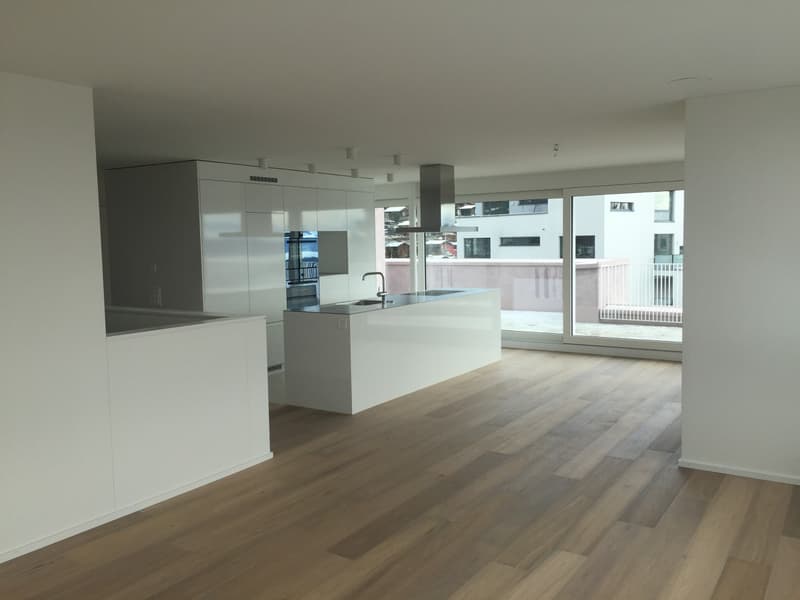 Traumwohnung mit Seesicht in Zürich (5)