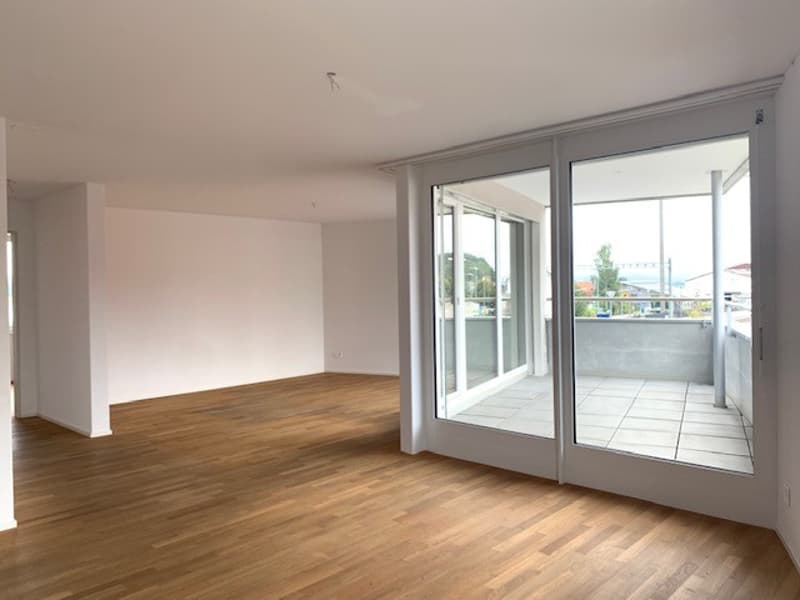 Grosszügige Neubauwohnung mit schöner Loggia (6)