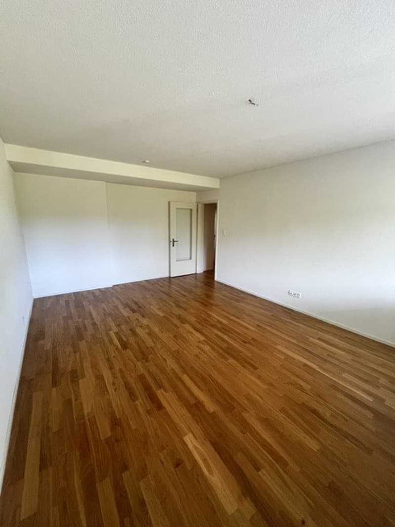 Sonnige Wohnung mit Gartensitzplatz (10)
