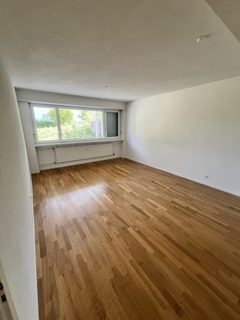 Sonnige Wohnung mit Gartensitzplatz (11)