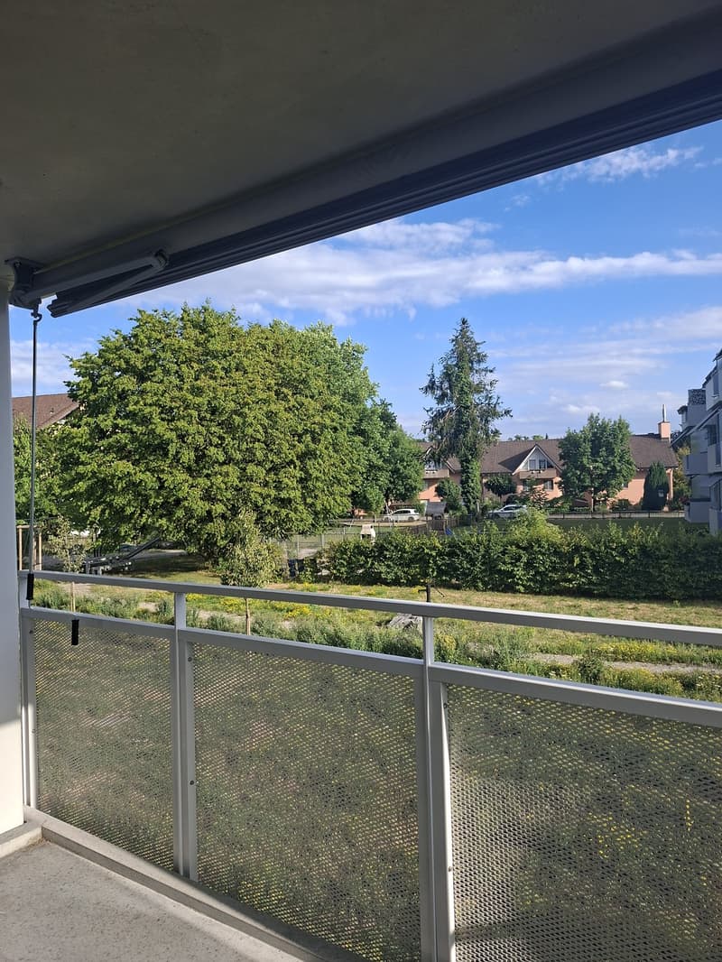 zentral gelegene Wohnung mit grosszügigem Balkon (8)
