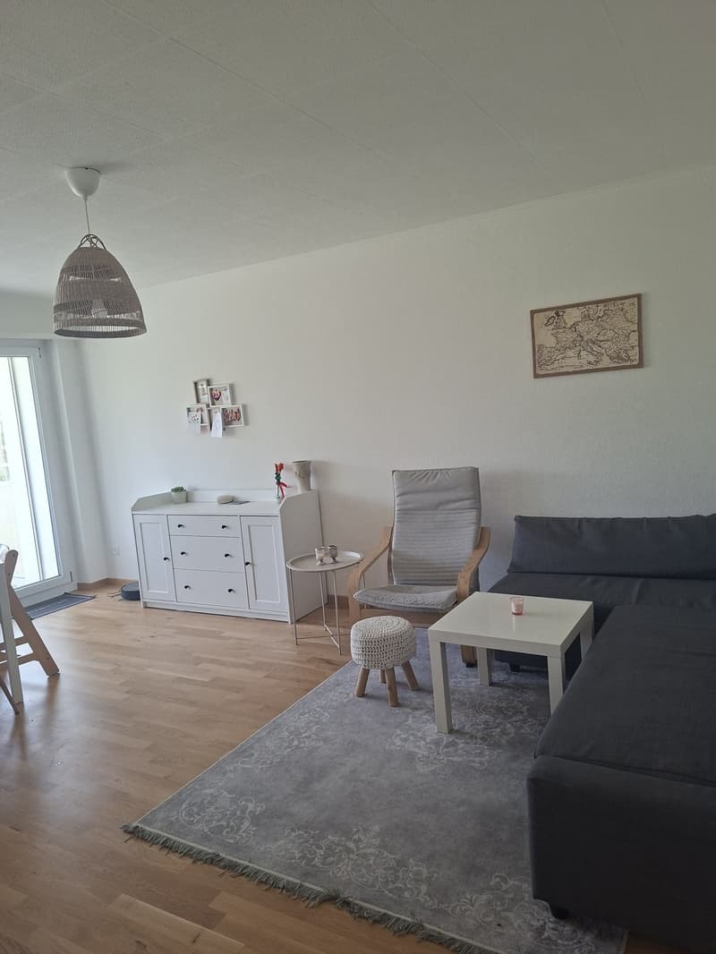 zentral gelegene Wohnung mit grosszügigem Balkon (4)