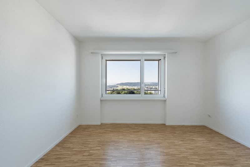 totalsanierte 3.5 Zimmer-Attikawohnung - exklusive Aussicht im 11. OG (6)