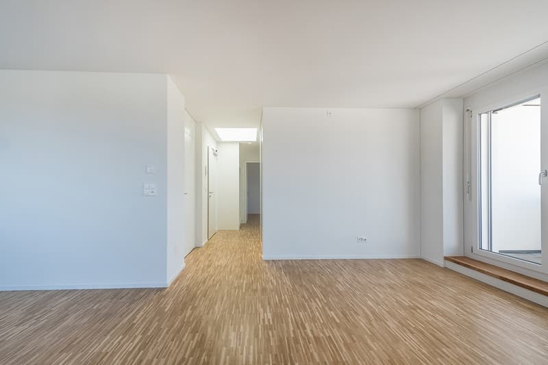 totalsanierte 3.5 Zimmer-Attikawohnung - exklusive Aussicht im 11. OG (9)