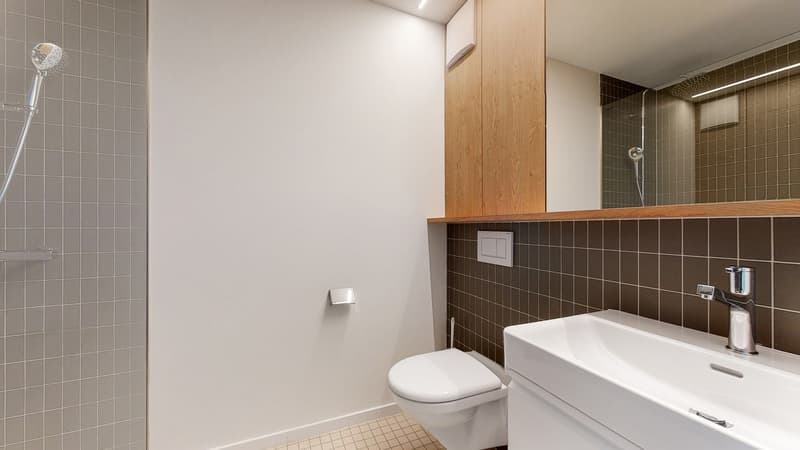 2.5 - Zimmerwohnung im schönen Höngg (4)