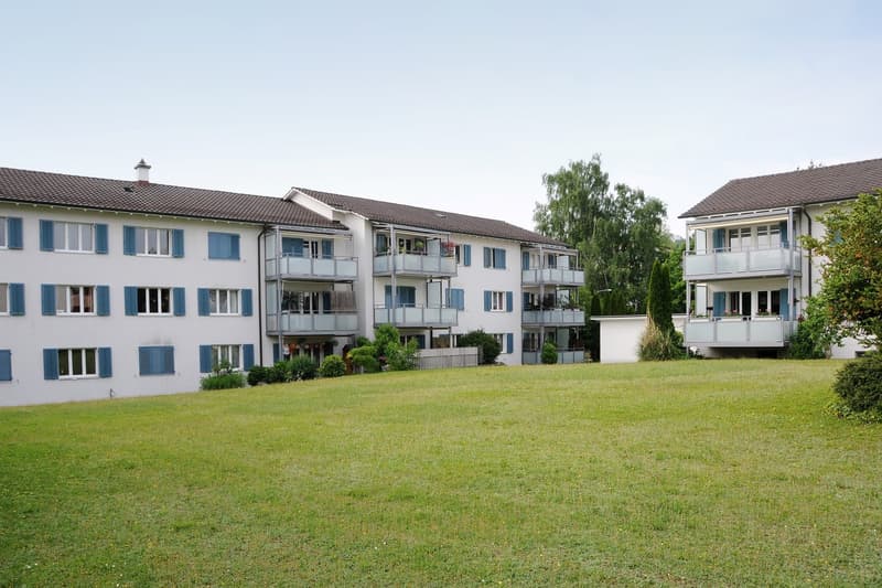 Probleme bei der Parkplatzsuche? Wir haben die Lösung! (1)