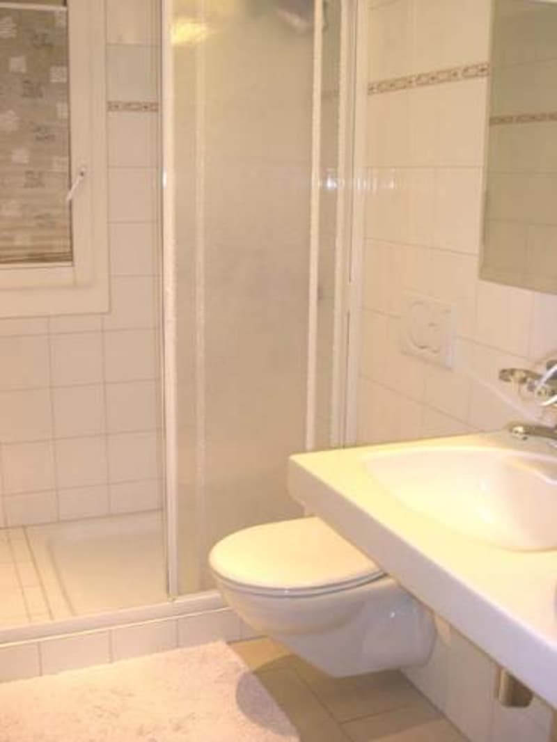 Moderne 4.5-Zimmer-Wohnung mit grossem Balkon und Cheminéeofen (4)