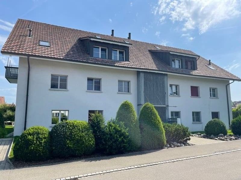 Moderne 4.5-Zimmer-Wohnung mit grossem Balkon und Cheminéeofen (1)
