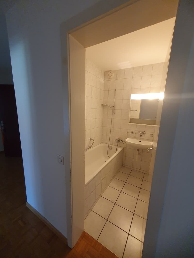 Helle und geräumige 4.5-Zimmerwohnung in Allschwil (16)